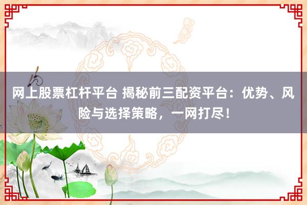 网上股票杠杆平台 揭秘前三配资平台：优势、风险与选择策略，一网打尽！