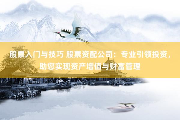 股票入门与技巧 股票资配公司：专业引领投资，助您实现资产增值与财富管理