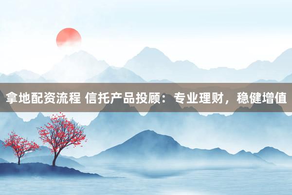 拿地配资流程 信托产品投顾：专业理财，稳健增值