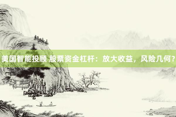 美国智能投顾 股票资金杠杆：放大收益，风险几何？
