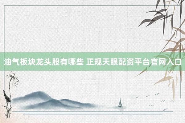 油气板块龙头股有哪些 正规天眼配资平台官网入口