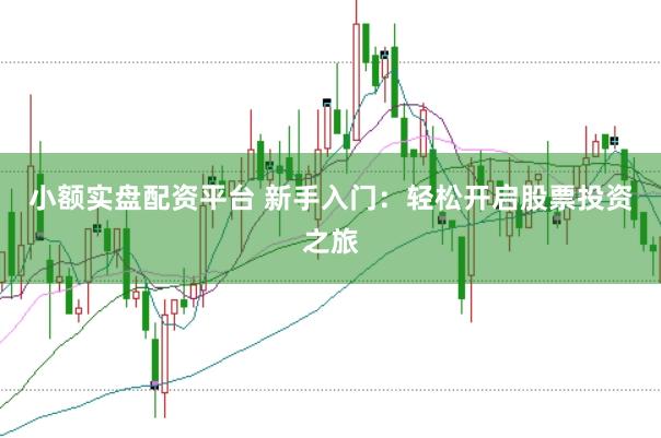 小额实盘配资平台 新手入门：轻松开启股票投资之旅