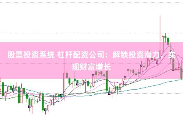 股票投资系统 杠杆配资公司：解锁投资潜力，实现财富增长
