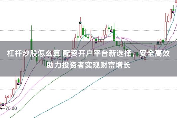 杠杆炒股怎么算 配资开户平台新选择，安全高效助力投资者实现财富增长