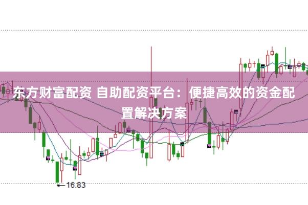 东方财富配资 自助配资平台：便捷高效的资金配置解决方案