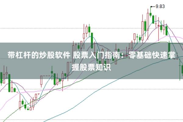 带杠杆的炒股软件 股票入门指南：零基础快速掌握股票知识