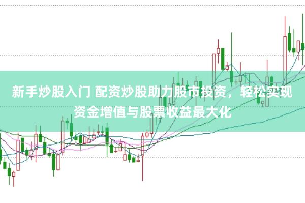 新手炒股入门 配资炒股助力股市投资，轻松实现资金增值与股票收益最大化