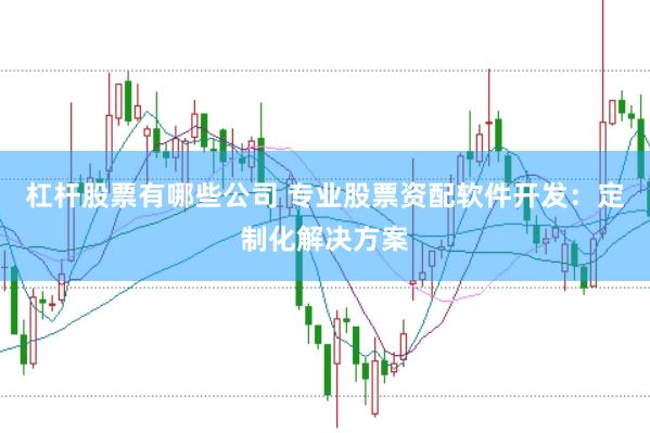 杠杆股票有哪些公司 专业股票资配软件开发：定制化解决方案