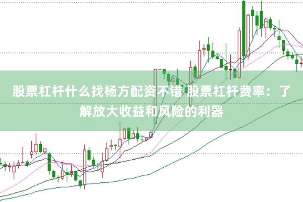 股票杠杆什么找杨方配资不错 股票杠杆费率：了解放大收益和风险的利器