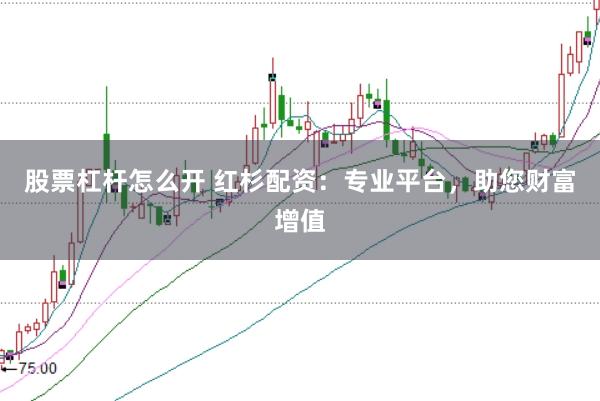 股票杠杆怎么开 红杉配资：专业平台，助您财富增值