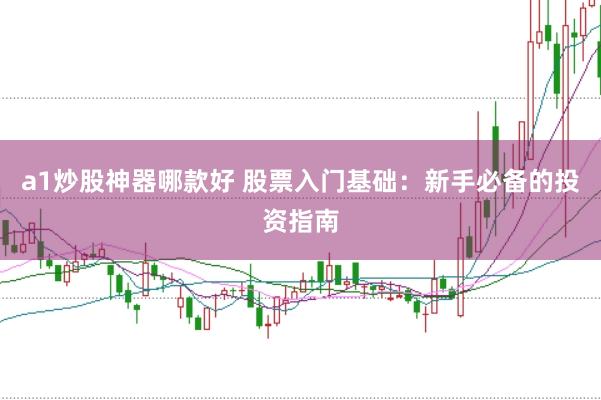 a1炒股神器哪款好 股票入门基础：新手必备的投资指南