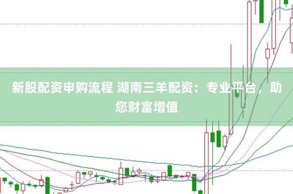 新股配资申购流程 湖南三羊配资：专业平台，助您财富增值