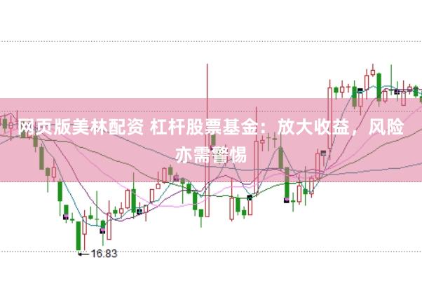 网页版美林配资 杠杆股票基金：放大收益，风险亦需警惕