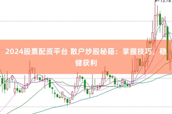 2024股票配资平台 散户炒股秘籍：掌握技巧，稳健获利