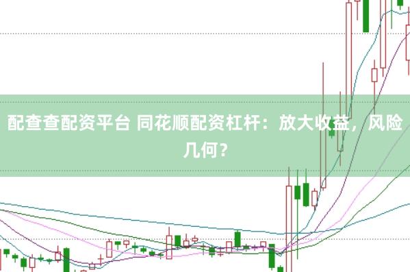 配查查配资平台 同花顺配资杠杆：放大收益，风险几何？