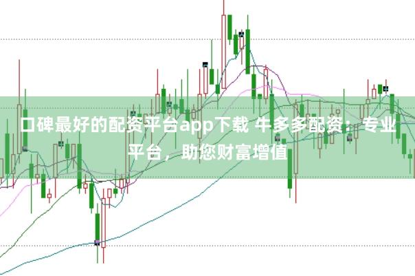 口碑最好的配资平台app下载 牛多多配资：专业平台，助您财富增值