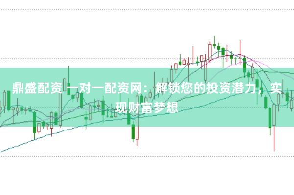 鼎盛配资 一对一配资网：解锁您的投资潜力，实现财富梦想