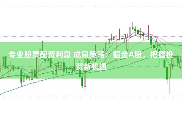 专业股票配资利息 成泉策略：掘金A股，把握投资新机遇