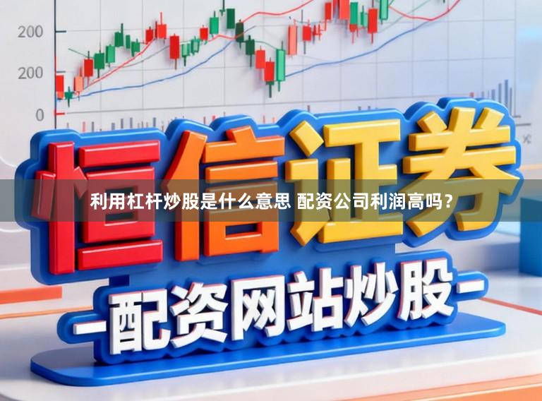 利用杠杆炒股是什么意思 配资公司利润高吗？