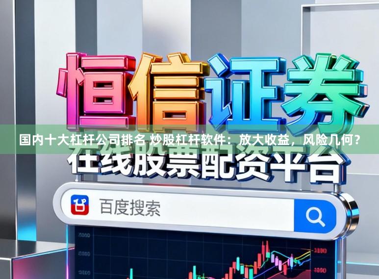国内十大杠杆公司排名 炒股杠杆软件:放大收益,风险几何?